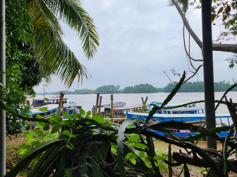 View over the Mekong River from Con Lun Island.