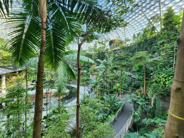 The Changi Airport Jewel entertainment hub, with forest and waterfall, Singapore