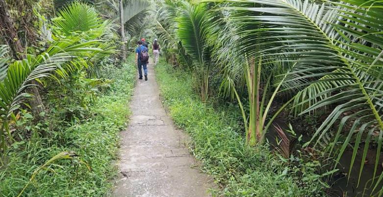 Narrow paths on the islands, used by everyone including scooters.